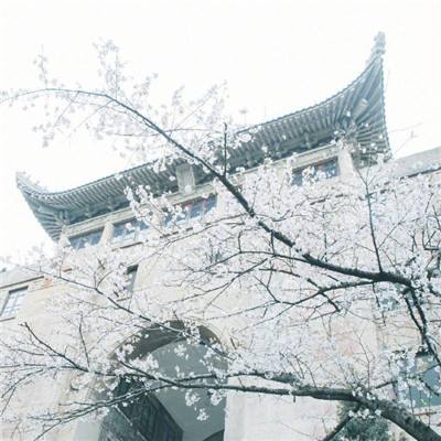 观察｜每15万人拥有一座博物馆的上海，卷的不仅是展览